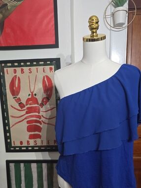 One-Shoulder Royal Blue Ruffle Women's Top Shannon Ford Xl